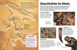 Innenansicht 5 zum Buch memo Wissen Kids. Steine und Mineralien