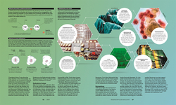Innenansicht 7 zum Buch Das Periodensystem
