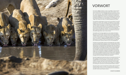 Innenansicht 2 zum Buch Tiere und ihr Verhalten