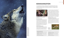 Innenansicht 4 zum Buch Tiere und ihr Verhalten