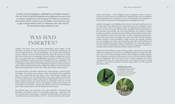 Innenansicht 2 zum Buch Insekten
