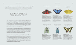 Innenansicht 5 zum Buch Insekten