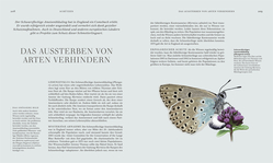 Innenansicht 7 zum Buch Insekten