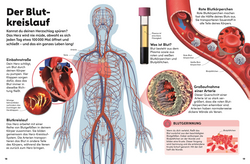 Innenansicht 2 zum Buch memo Wissen Kids. Der Körper