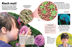 Innenansicht 5 zum Buch memo Wissen Kids. Der Körper