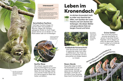 Innenansicht 3 zum Buch memo Wissen Kids. Der Regenwald