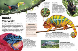 Innenansicht 4 zum Buch memo Wissen Kids. Der Regenwald