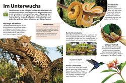 Innenansicht 6 zum Buch memo Wissen Kids. Der Regenwald