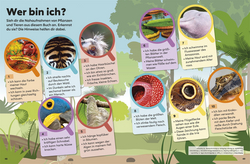 Innenansicht 7 zum Buch memo Wissen Kids. Der Regenwald