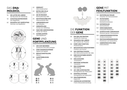 Innenansicht 2 zum Buch SIMPLY. Genetik