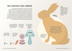 Innenansicht 4 zum Buch SIMPLY. Genetik