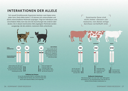 Innenansicht 5 zum Buch SIMPLY. Genetik