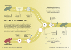 Innenansicht 9 zum Buch SIMPLY. Genetik