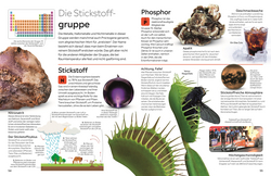 Innenansicht 6 zum Buch memo Wissen. Chemische Elemente