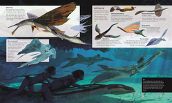 Innenansicht 1 zum Buch Die Welt von Avatar