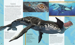 Innenansicht 2 zum Buch Die Welt von Avatar