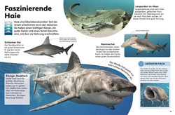 Innenansicht 2 zum Buch memo Wissen Kids. Das Meer