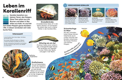 Innenansicht 4 zum Buch memo Wissen Kids. Das Meer