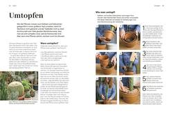 Innenansicht 5 zum Buch Kakteen und Sukkulenten
