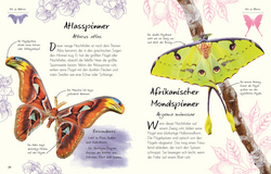 Innenansicht 2 zum Buch Wundervolle Welt – Kleine Schätze. Schmetterlinge Innenansicht 2 zum Buch Wundervolle Welt – Kleine Schätze. Schmetterlinge