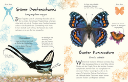 Innenansicht 3 zum Buch Wundervolle Welt – Kleine Schätze. Schmetterlinge Innenansicht 3 zum Buch Wundervolle Welt – Kleine Schätze. Schmetterlinge