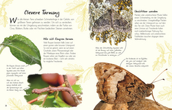 Innenansicht 4 zum Buch Wundervolle Welt – Kleine Schätze. Schmetterlinge Innenansicht 4 zum Buch Wundervolle Welt – Kleine Schätze. Schmetterlinge