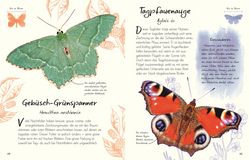 Innenansicht 7 zum Buch Wundervolle Welt – Kleine Schätze. Schmetterlinge Innenansicht 7 zum Buch Wundervolle Welt – Kleine Schätze. Schmetterlinge