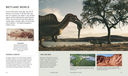 Innenansicht 2 zum Buch Unter Dinos - Geheimnisse der Urzeit