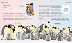 Innenansicht 6 zum Buch Ozeane