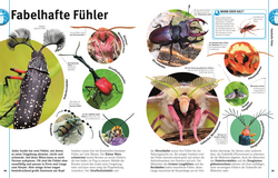 Innenansicht 3 zum Buch Unsere Welt in 1000 Bildern. Insekten