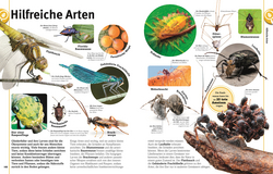 Innenansicht 7 zum Buch Unsere Welt in 1000 Bildern. Insekten