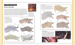 Innenansicht 1 zum Buch Dungeons & Dragons Das Buch der Drachen Innenansicht 1 zum Buch Dungeons & Dragons Das Buch der Drachen