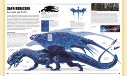Innenansicht 5 zum Buch Dungeons & Dragons Das Buch der Drachen