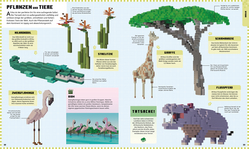 Innenansicht 3 zum Buch Minecraft Weltatlas