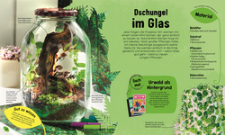 Innenansicht 3 zum Buch Mein Mini-Garten im Glas