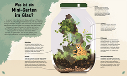 Innenansicht 4 zum Buch Mein Mini-Garten im Glas