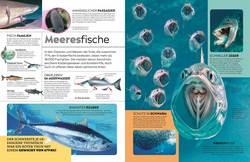 Innenansicht 1 zum Buch memo Wissen. Tiere