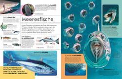 Innenansicht 2 zum Buch memo Wissen. Tiere