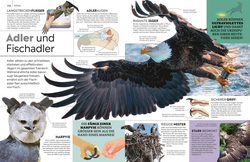 Innenansicht 3 zum Buch memo Wissen. Tiere