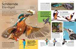 Innenansicht 4 zum Buch memo Wissen. Tiere