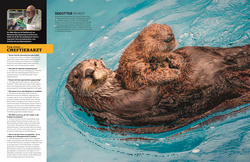 Innenansicht 5 zum Buch memo Wissen. Tiere