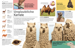 Innenansicht 7 zum Buch memo Wissen. Tiere