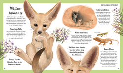 Innenansicht 2 zum Buch Tiergeschichten zum Träumen. Zauber der Nacht