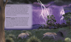 Innenansicht 3 zum Buch Tiergeschichten zum Träumen. Zauber der Nacht