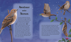 Innenansicht 4 zum Buch Tiergeschichten zum Träumen. Zauber der Nacht