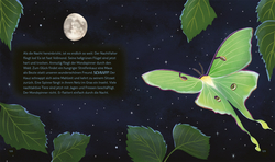 Innenansicht 7 zum Buch Tiergeschichten zum Träumen. Zauber der Nacht