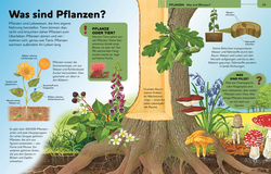 Innenansicht 3 zum Buch Das große Kinderlexikon Grundschulwissen