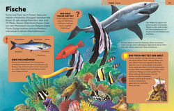 Innenansicht 4 zum Buch Das große Kinderlexikon Grundschulwissen