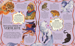 Innenansicht 5 zum Buch Die Geschichte der Hexen und magischen Frauen