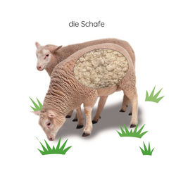 Innenansicht 2 zum Buch Erstes Lernen Fühl-Leporello. Bauernhof